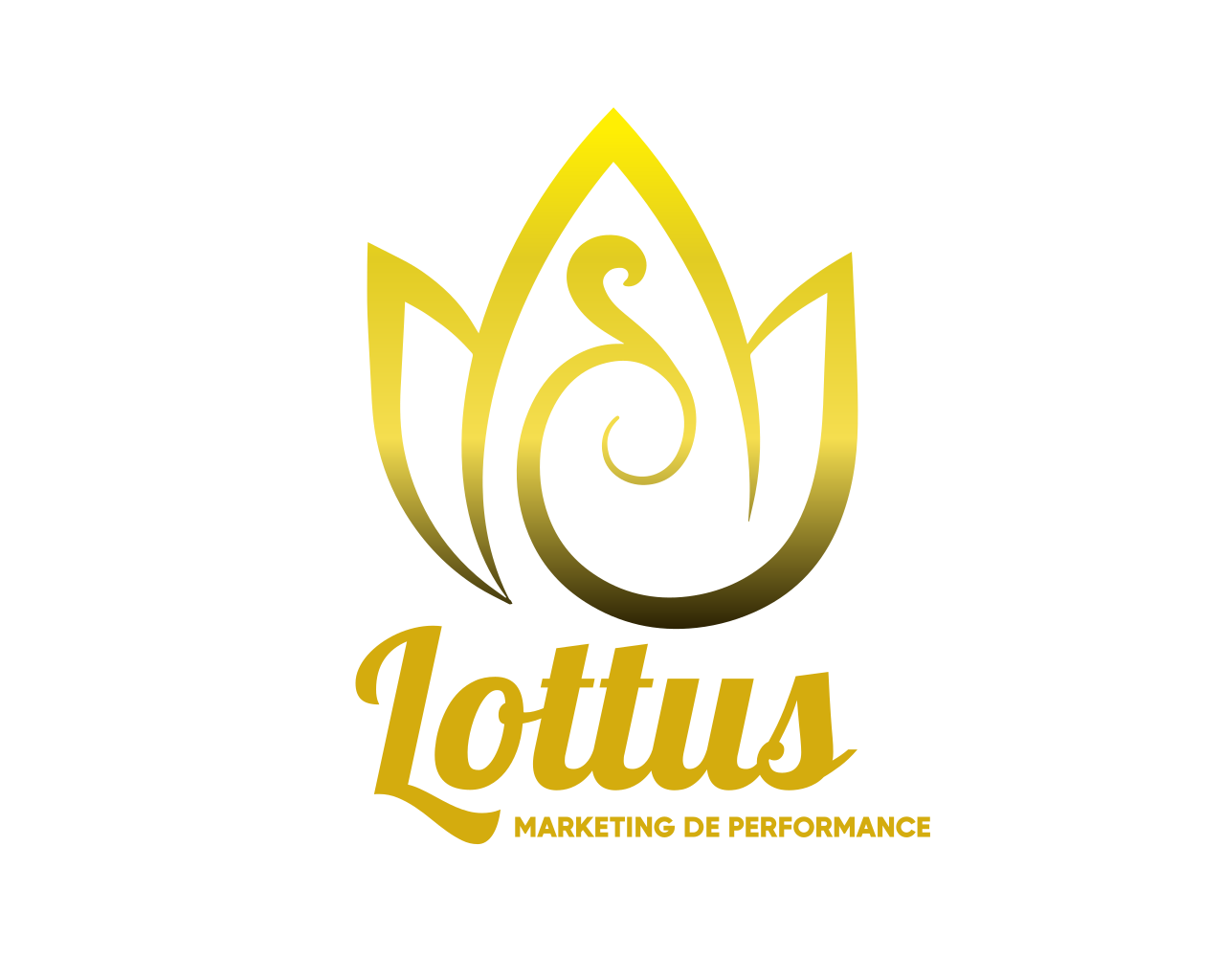 Lottus Marketing de Performance